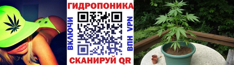 Что такое Ачхой-Мартан Alpha PVP  МЕТАМФЕТАМИН  Мефедрон  ГАШ  КОКАИН  Конопля  АМФ 
