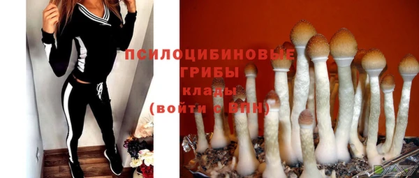 spice Алзамай