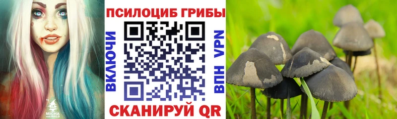 Галлюциногенные грибы мицелий  Ачхой-Мартан 