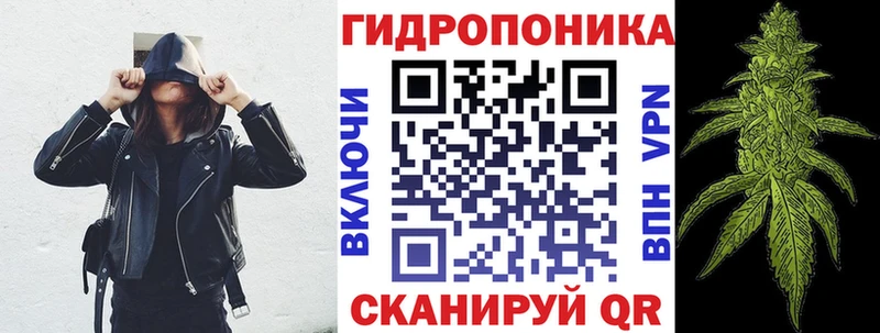 дарк нет телеграм хочу Ачхой-Мартан Бошки Шишки семена мега вход